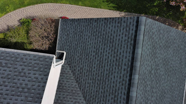 Best Roof Moss and Algae Removal  in Wright, FL